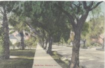 North Myrtle Ave. - Knox House